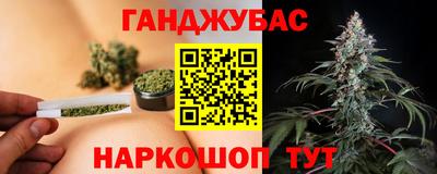 крисы Краснознаменск