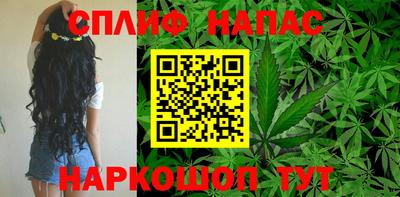 крисы Краснознаменск