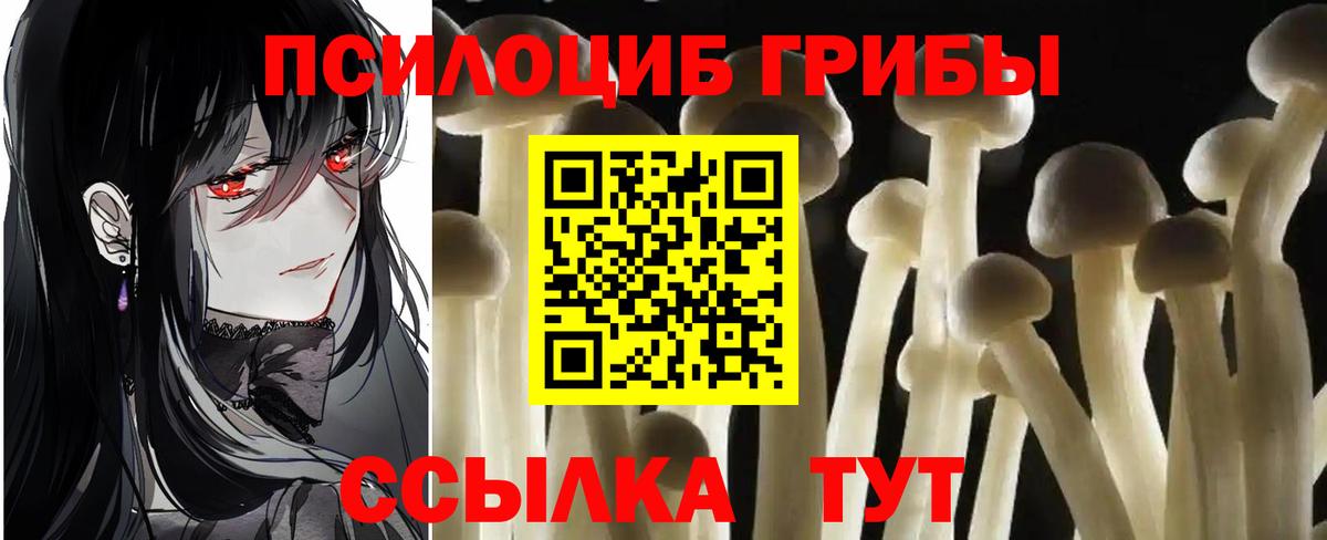 Галлюциногенные грибы мицелий  Псилоцибиновые грибы прущие грибы  Кириши  Вход с VPN 